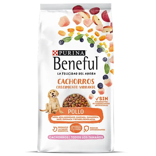 Purina Beneful Cachorro
