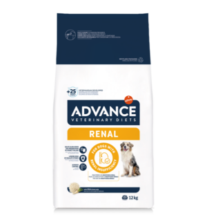 Advance Adulto Renal Failure