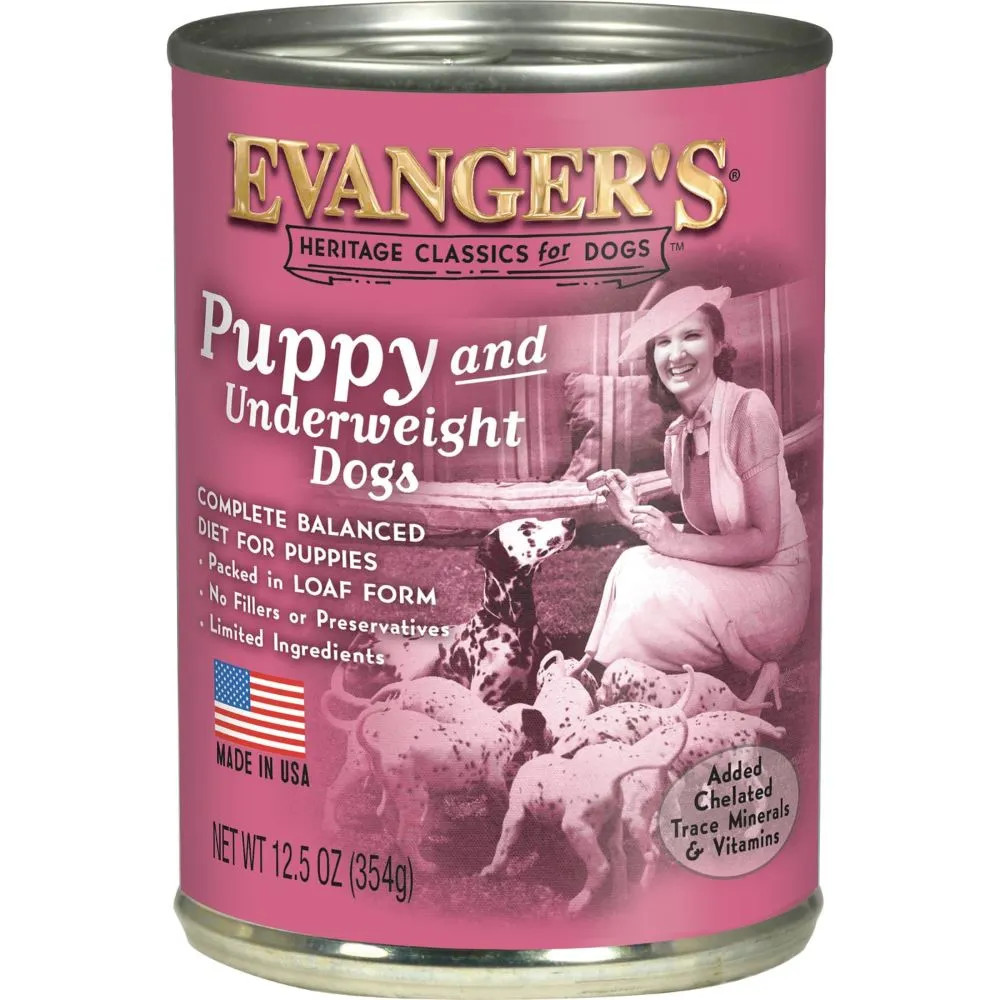 Evangers Puppy and Underweight Dogs 354g