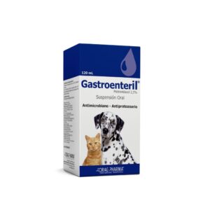 Gastroenteril