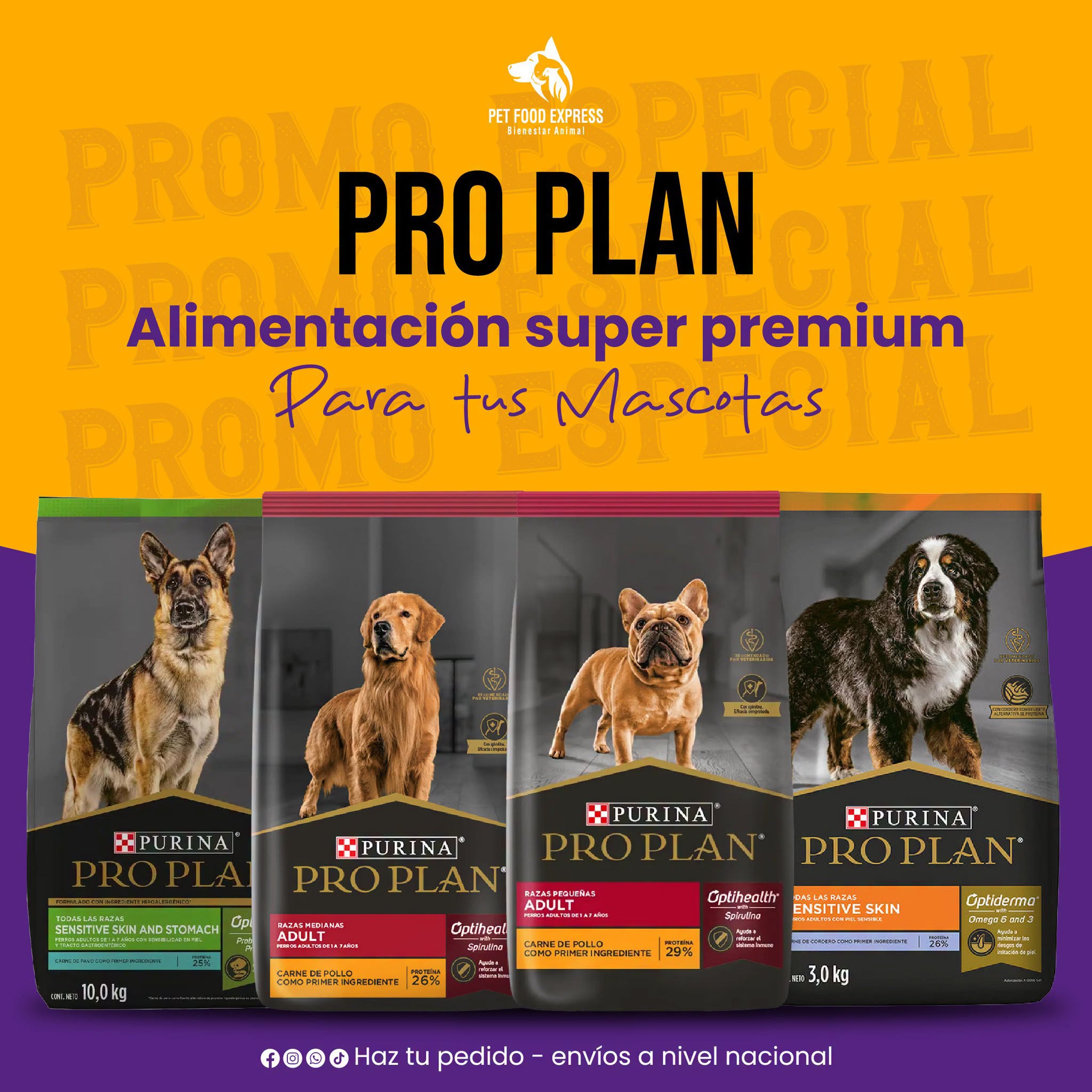 Pro Plan 20% OFF